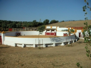 Vista general de la plaza